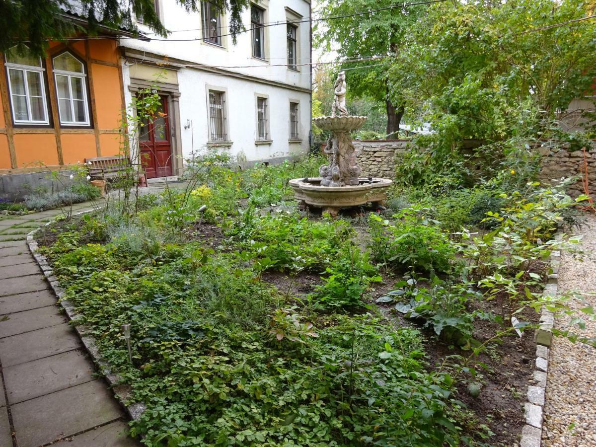 Hummel Hostel - Historische Stadtvilla Mit Garten Veimar Exterior foto